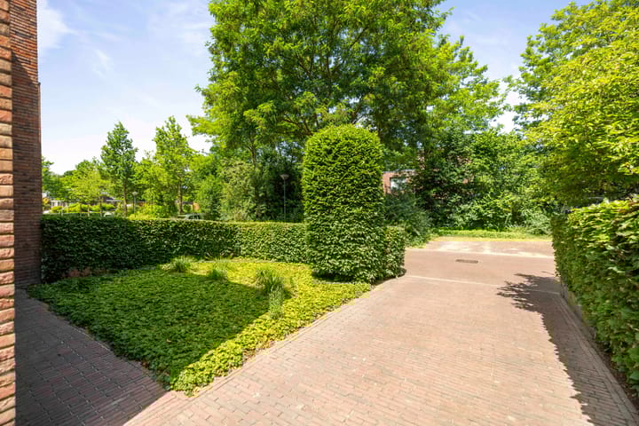 Foto 3 van Weidegeelster 10