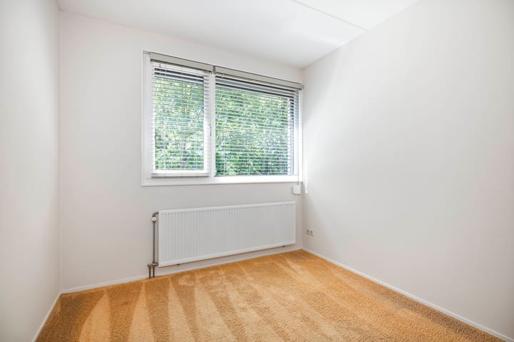 Foto 20 van Weidegeelster 10