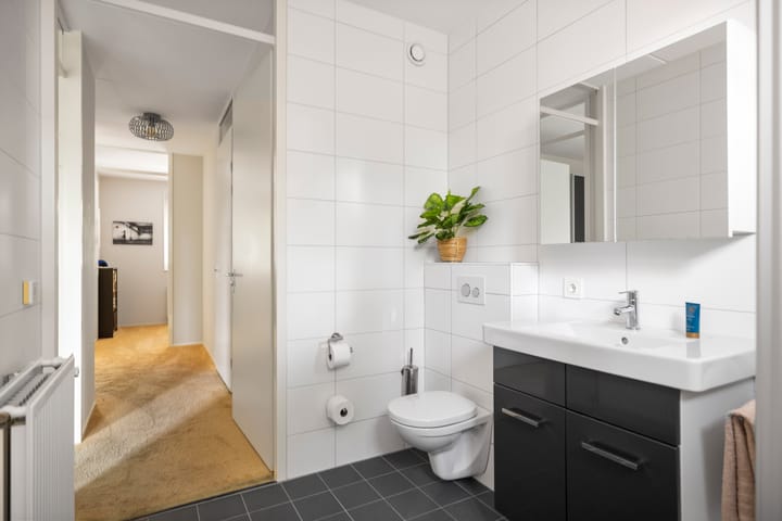 Foto 23 van Weidegeelster 10