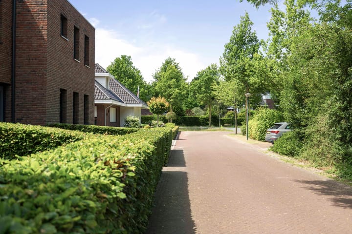 Foto 28 van Weidegeelster 10