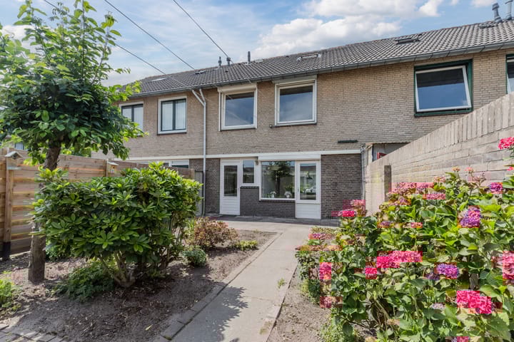 Foto 24 van Van Rooylaan 9