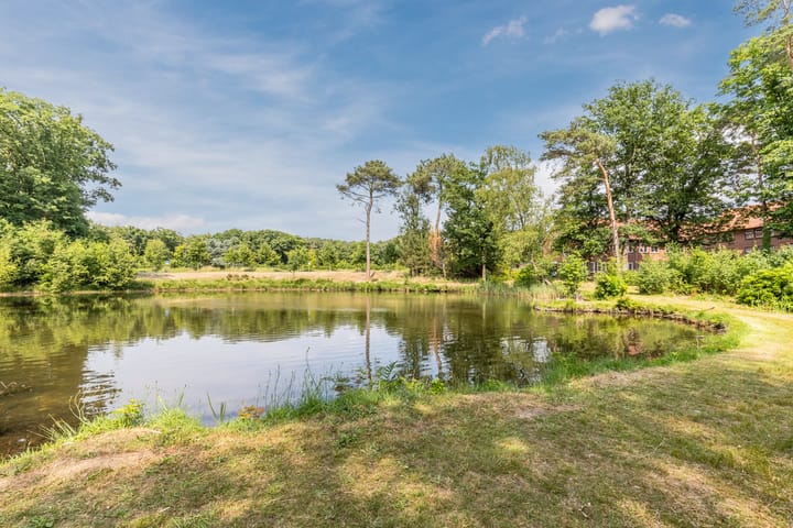 Foto 48 van Koningin Wilhelminastr 16