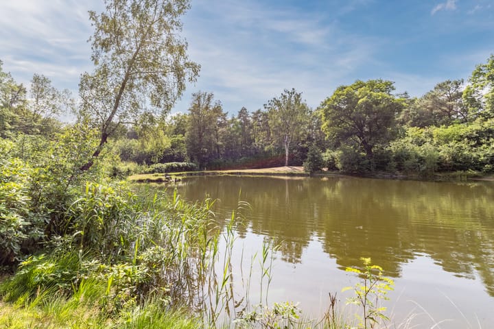 Foto 49 van Koningin Wilhelminastr 16