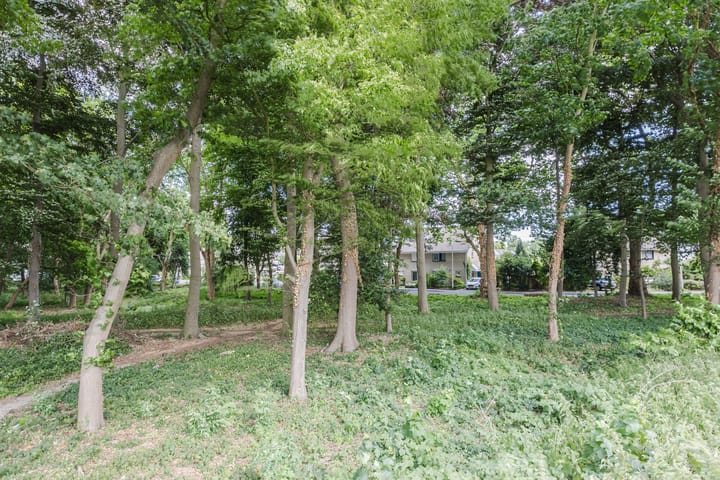 Foto 41 van Pater Luijtenpad 5