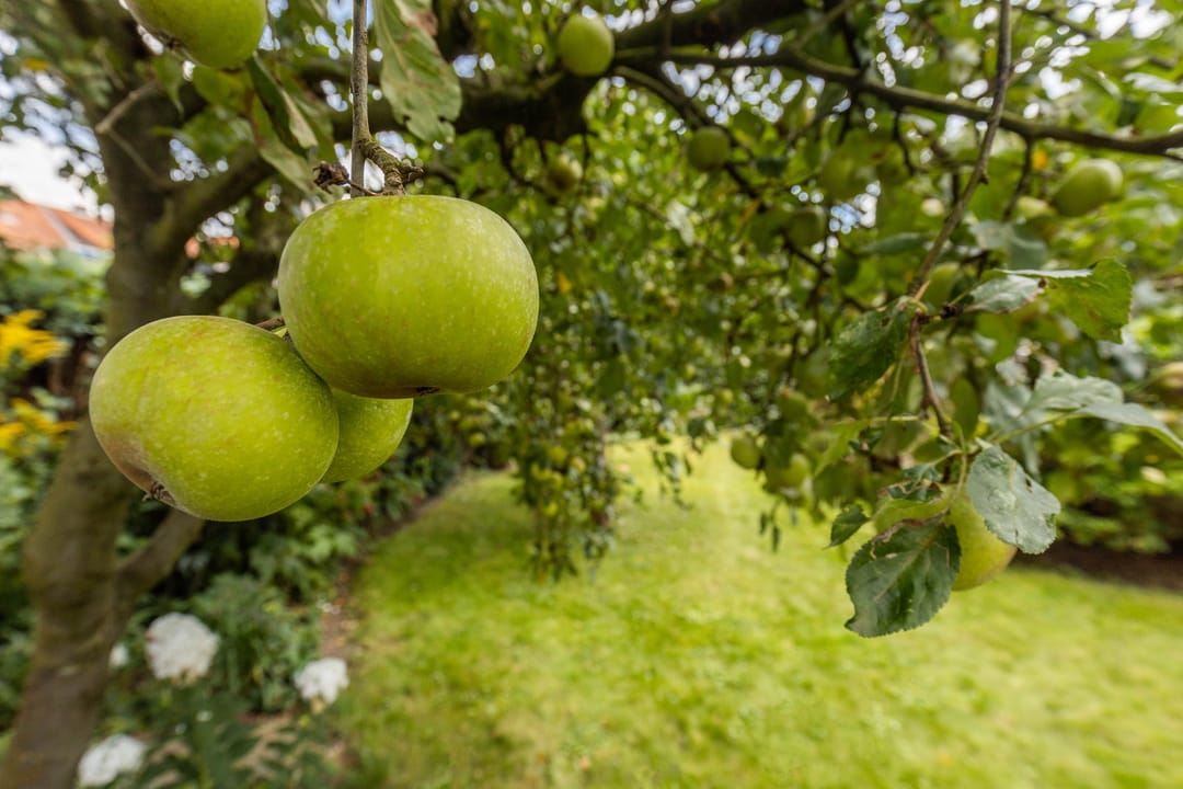 Foto 56 van Beekstraat 4