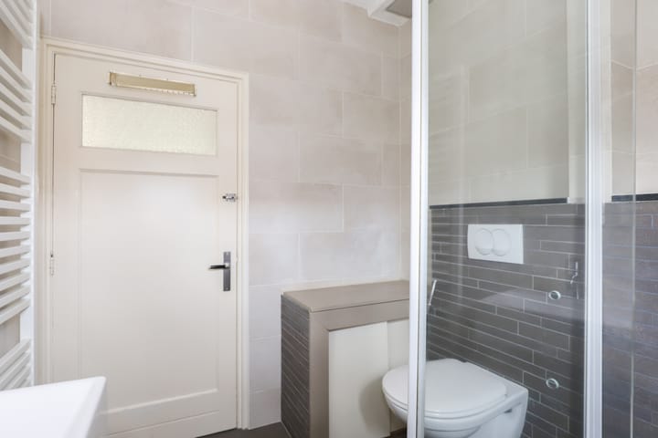 Foto 18 van Professor Regoutstraat 7