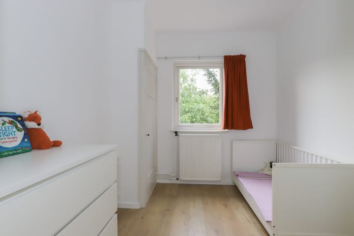 Foto 23 van Professor Regoutstraat 7