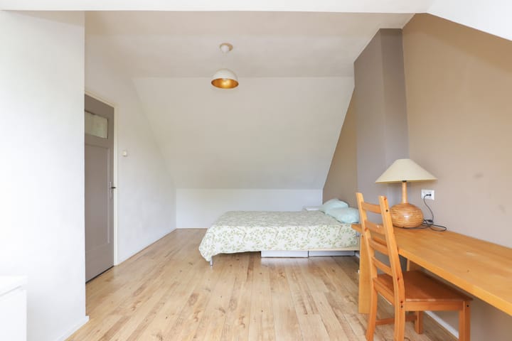 Foto 28 van Professor Regoutstraat 7