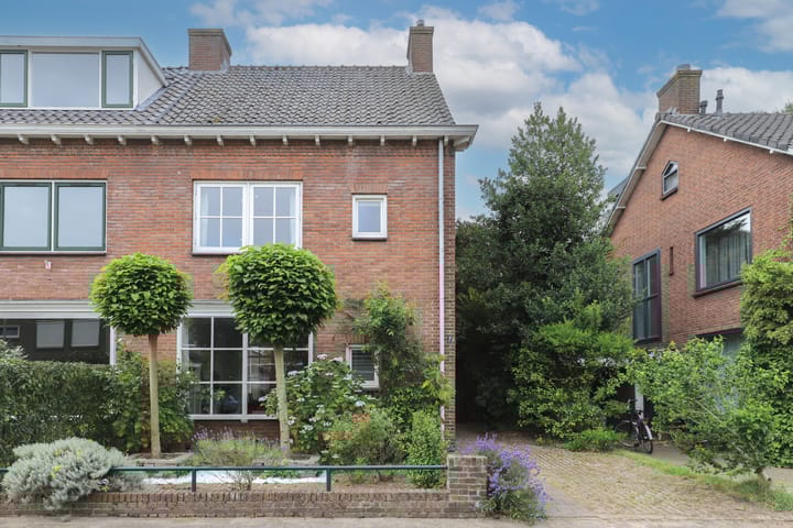 Foto 53 van Professor Regoutstraat 7