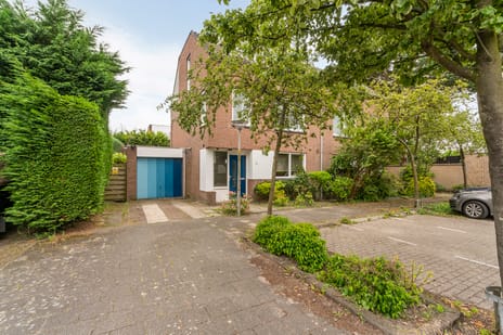 undefined main image