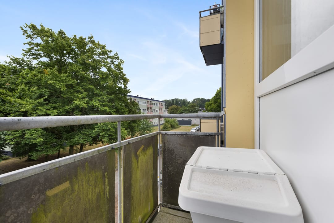 Foto 17 van Wijnbesstraat 73