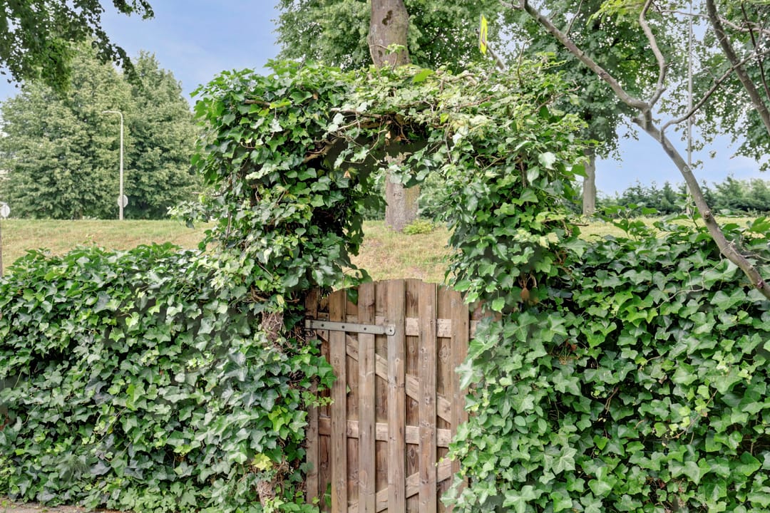 Foto 31 van Vlietstraat 26