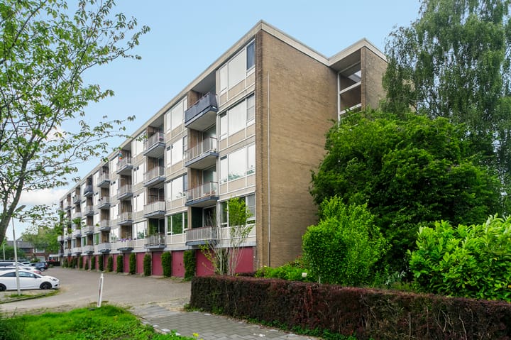 Foto 1 van Lijsterstraat 48