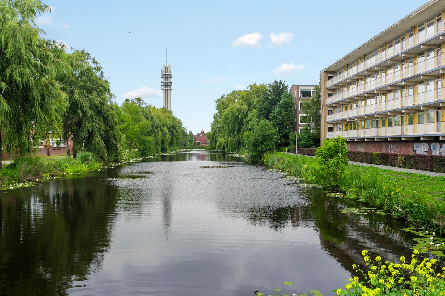 Foto 29 van Lijsterstraat 48