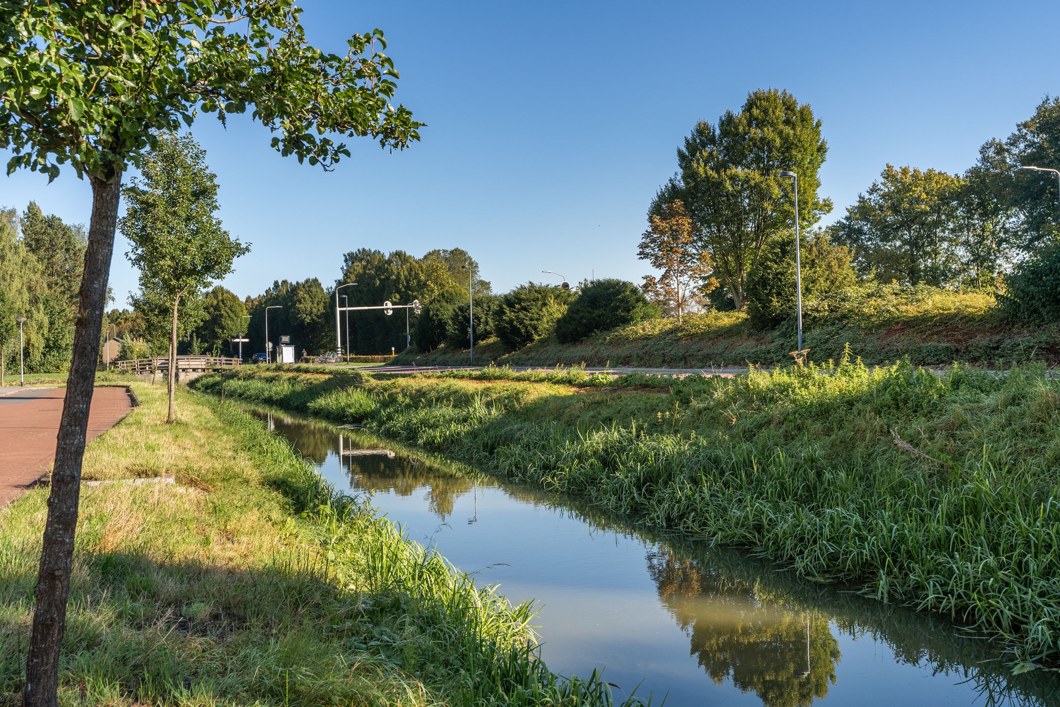 Foto 39 van Koningin Maximahof 12