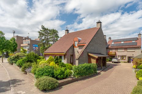 undefined main image