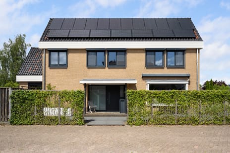 Meerkoet 26 secondary image