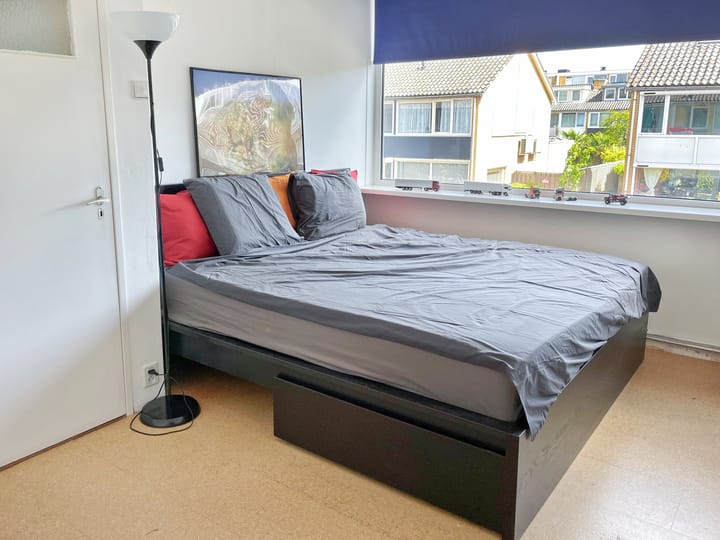 Foto 39 van Van der Waalsstraat 21