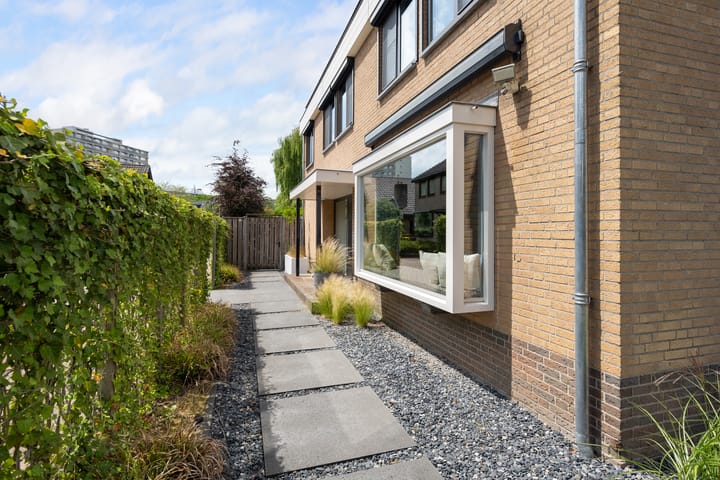 Foto 8 van Meerkoet 26