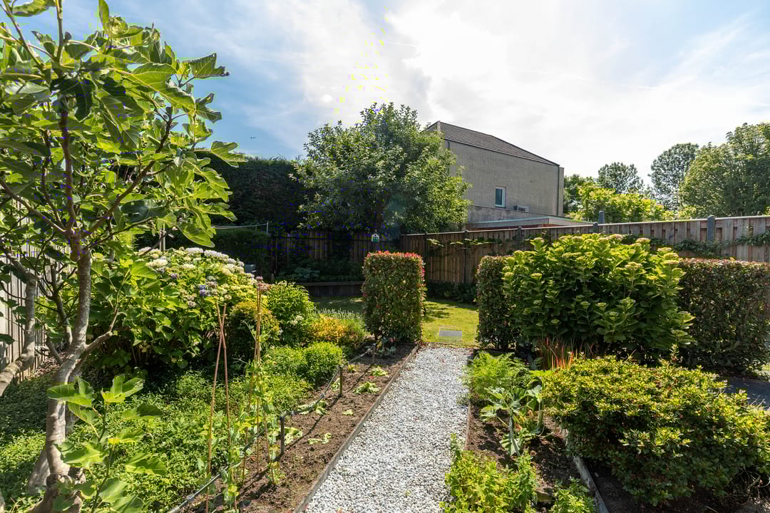 Foto 31 van Marsstraat 66