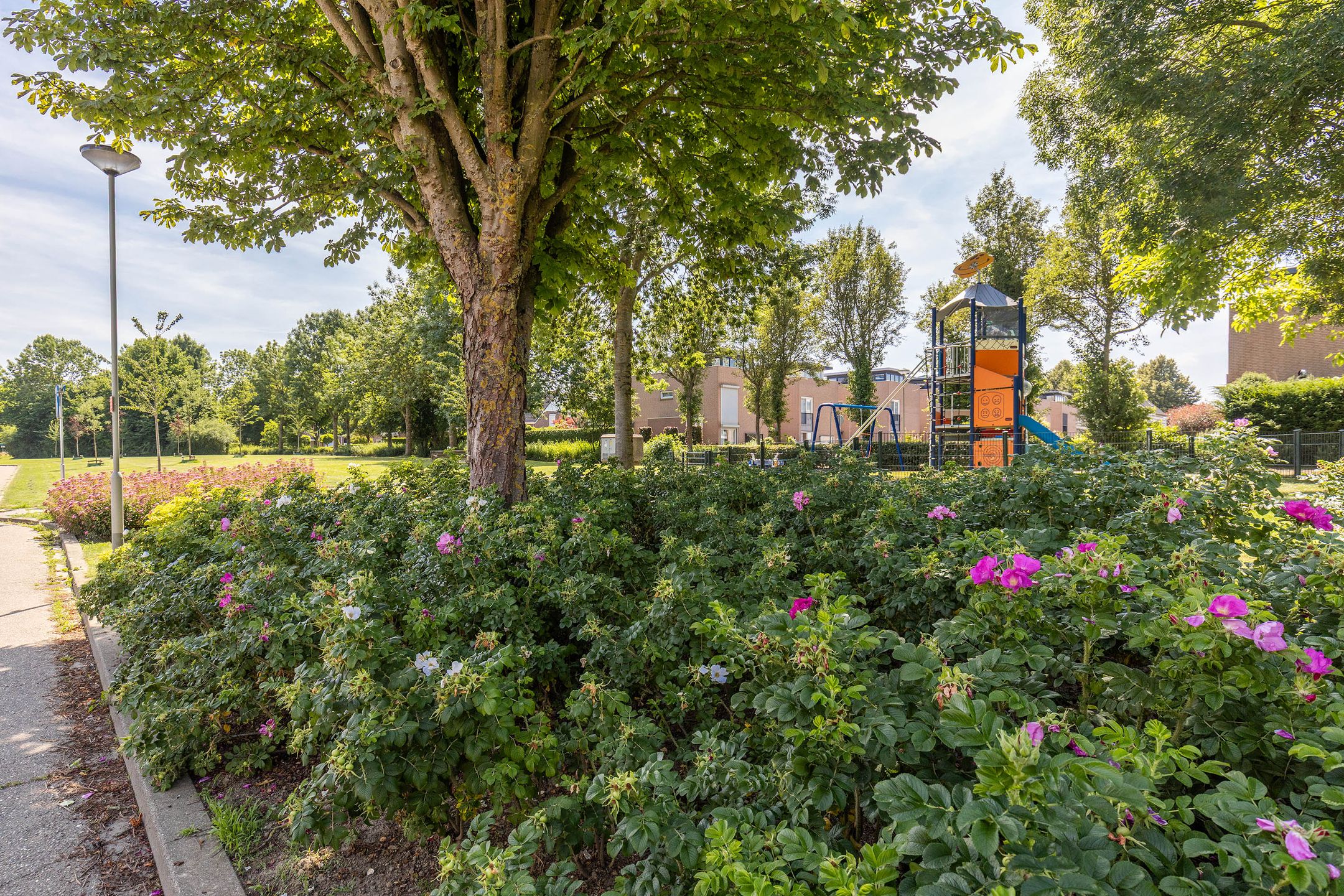 Foto 39 van Marsstraat 66