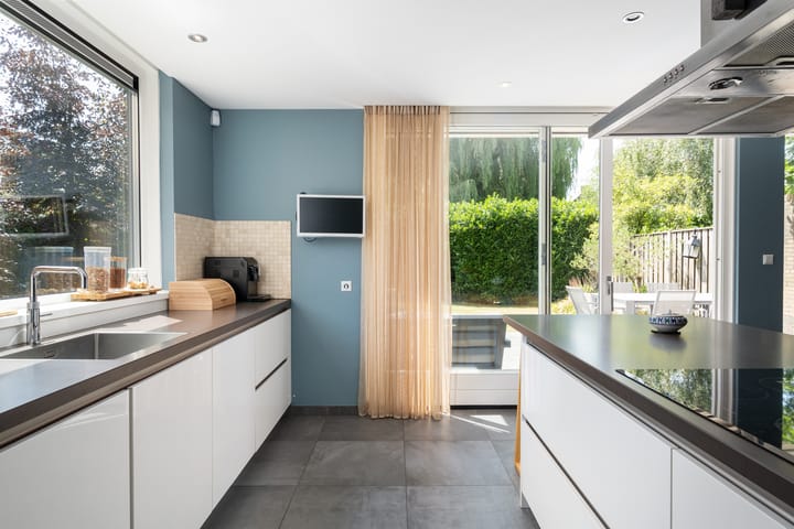 Foto 29 van Meerkoet 26