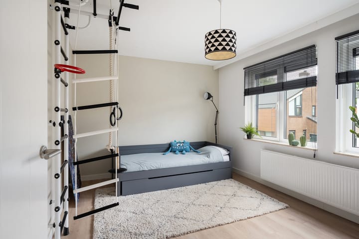 Foto 42 van Meerkoet 26