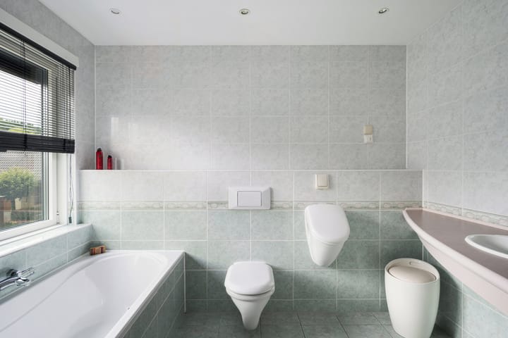 Foto 49 van Meerkoet 26