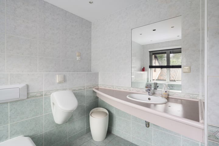 Foto 50 van Meerkoet 26