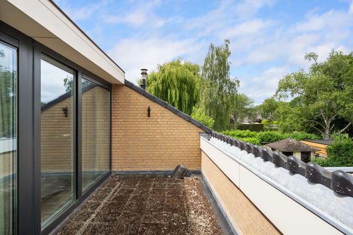 Foto 52 van Meerkoet 26