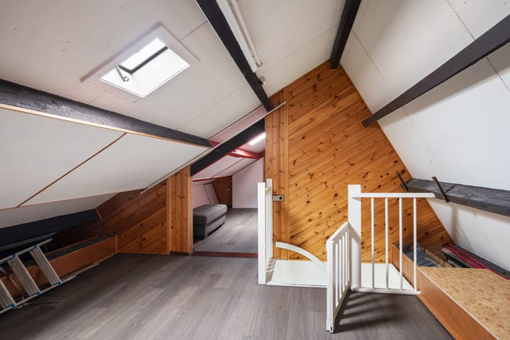 Foto 53 van Meerkoet 26