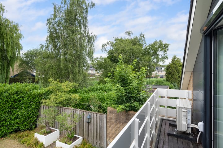 Foto 55 van Meerkoet 26