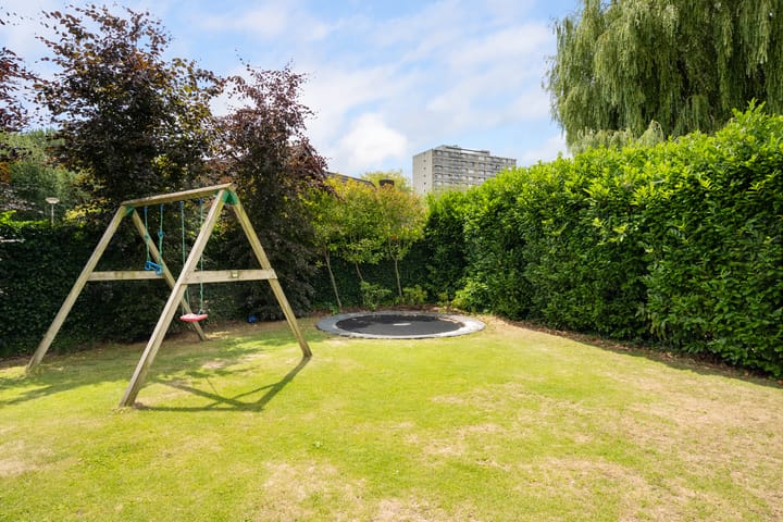 Foto 59 van Meerkoet 26