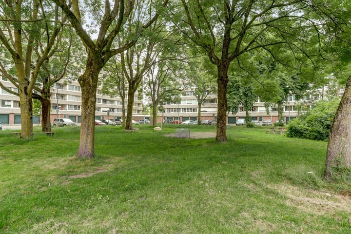 Foto 44 van Patmosdreef 132