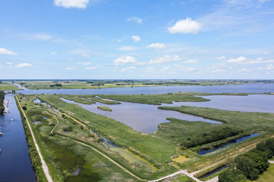 Foto 68 van Buitenbaardt 23