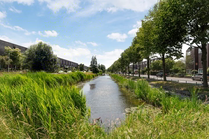 Foto 58 van Bloemenblauwtje 71