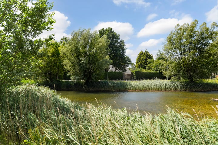 Foto 59 van Bloemenblauwtje 71