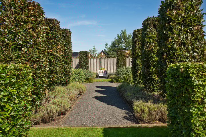 Photo 38 of Grotestraat 282