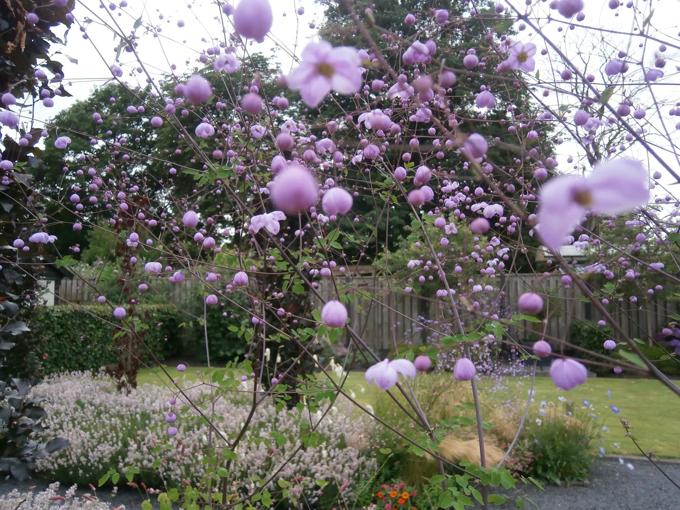 Foto 33 van Grotestraat 282