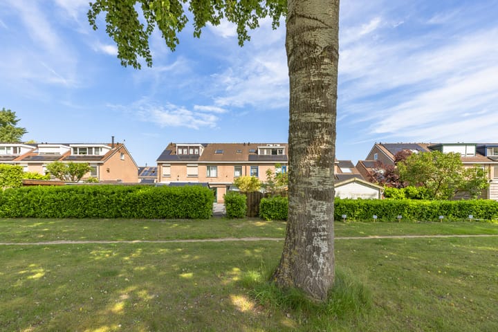 Foto 42 van Loogkruidstraat 12