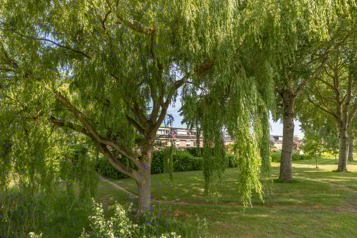 Foto 45 van Loogkruidstraat 12