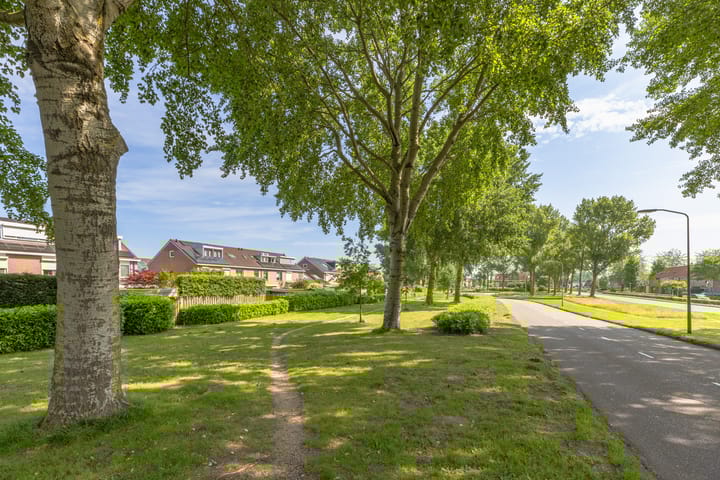 Foto 46 van Loogkruidstraat 12