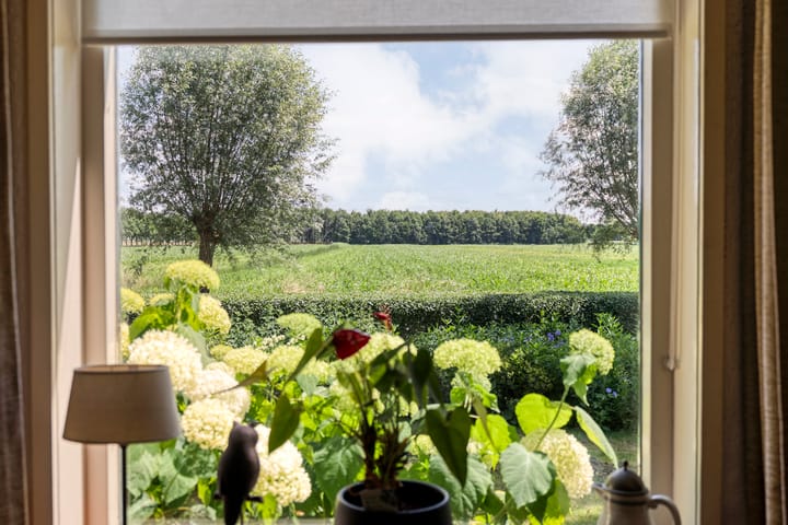 Foto 25 van Kattenwinkelweg 4