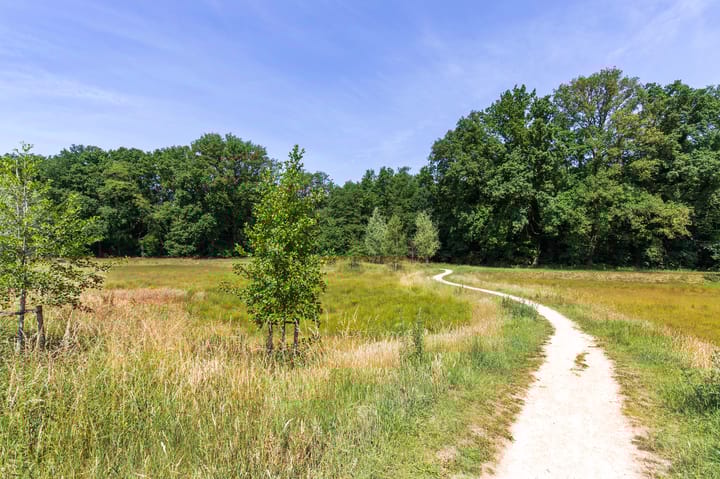 Foto 59 van Zonneweide 24