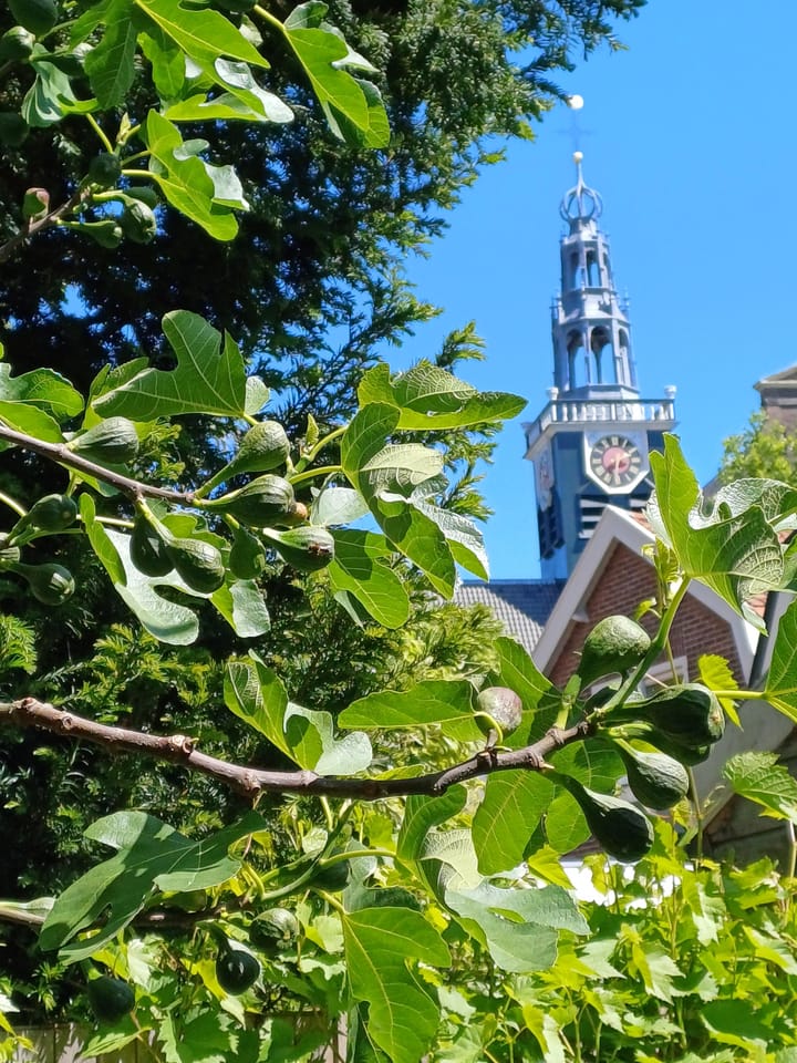 Foto 51 van Parkstraat 38