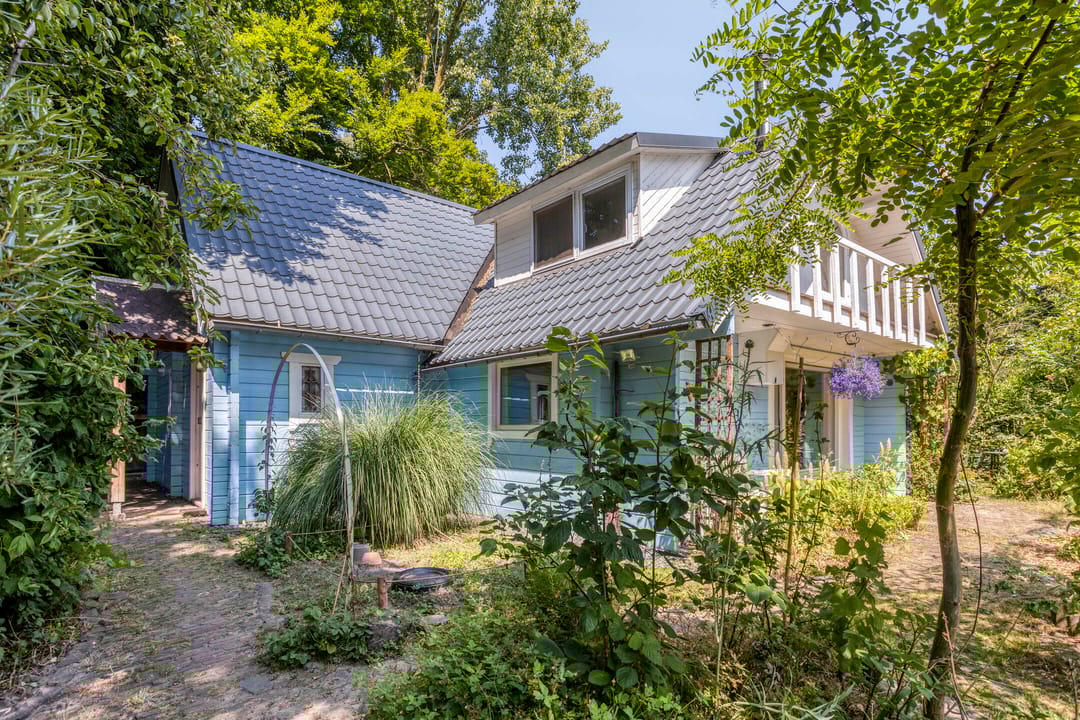 Foto 2 van Geranium 84