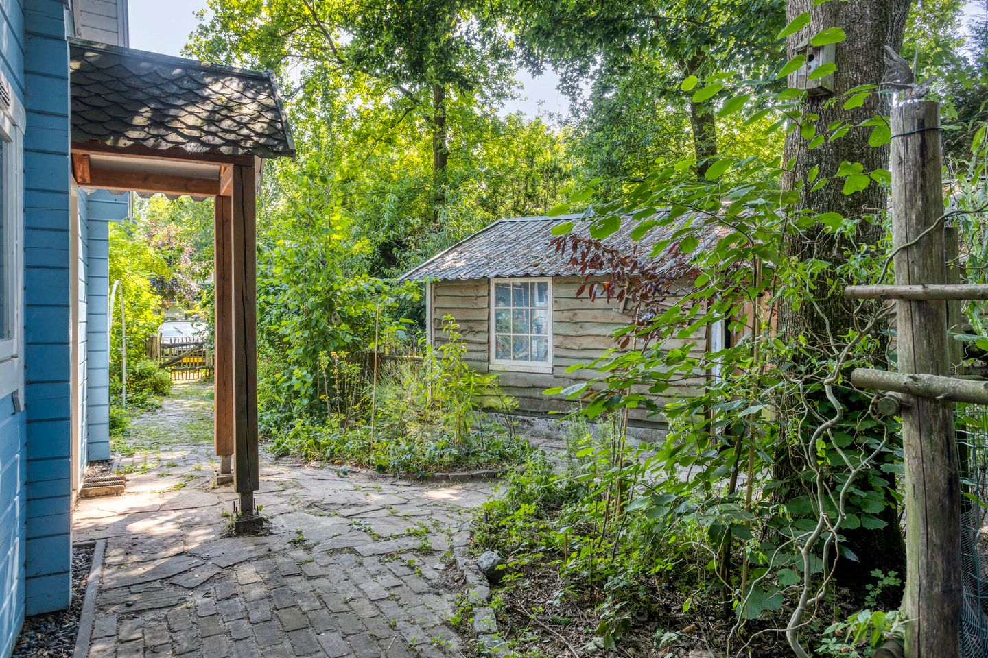 Foto 4 van Geranium 84