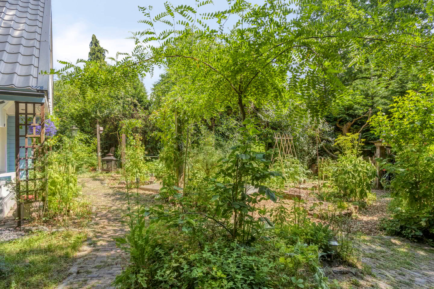 Foto 5 van Geranium 84