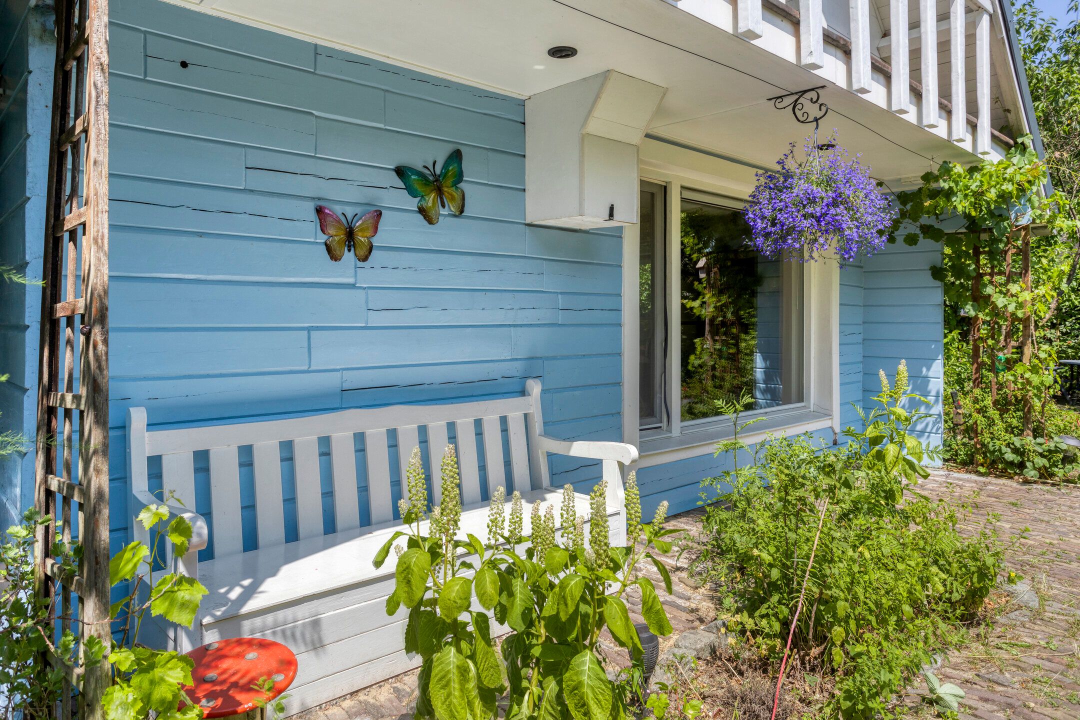 Foto 6 van Geranium 84