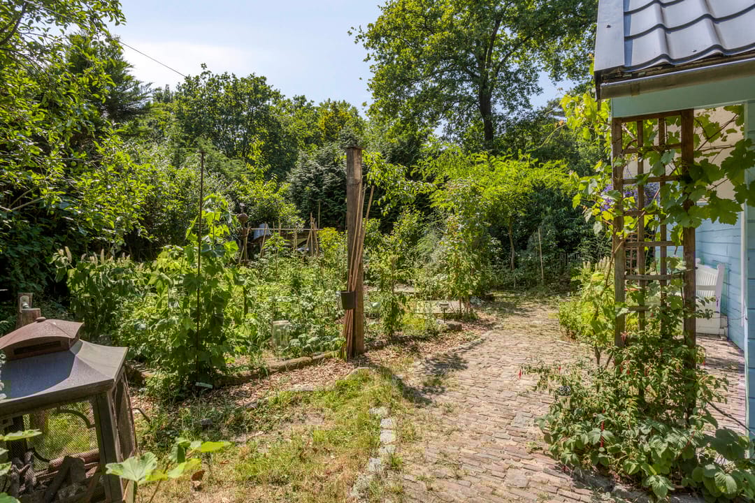 Foto 7 van Geranium 84